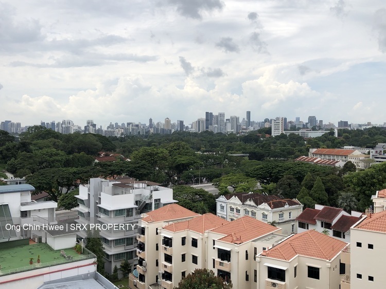 10 Shelford (D11), Apartment #253382011